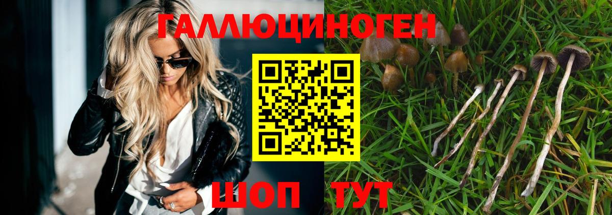 Псилоцибиновые грибы мицелий Энгельс