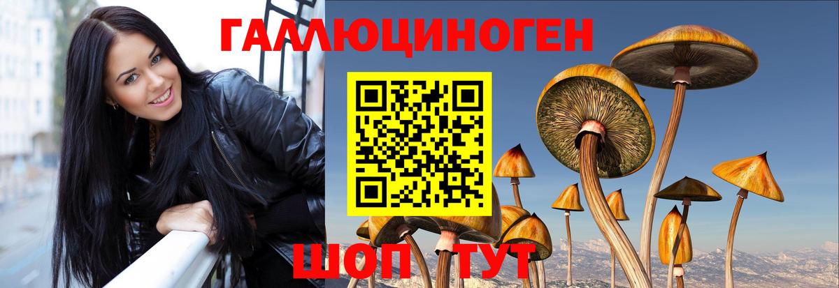 Энгельс  Галлюциногенные грибы мицелий  Вход с VPN 